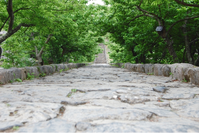 今帰仁城跡