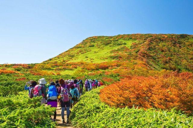 マウントジーンズ那須 2枚目