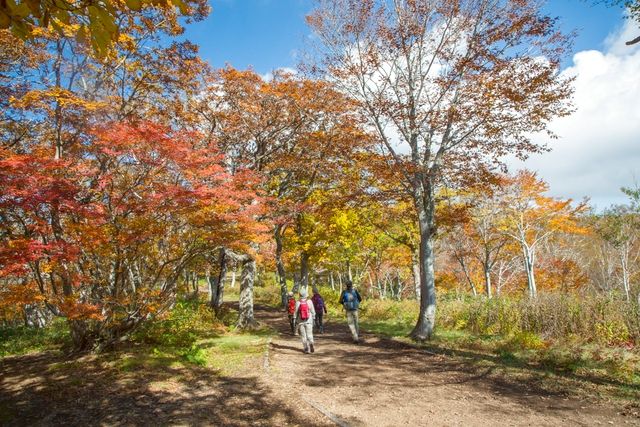 マウントジーンズ那須 3枚目