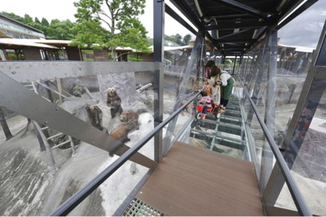 超特割!【最大12%割引】阿蘇カドリー・ドミニオン 入園券 2026/9~ 超特割!【最大12%割引】阿蘇カドリー・ドミニオン 入園券 2026/9~