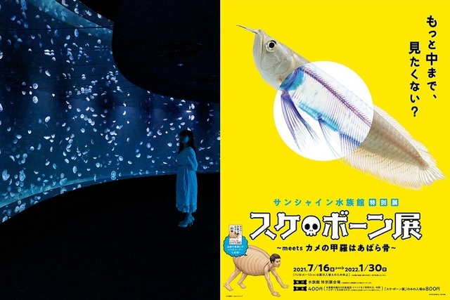 関東 水族館 ペンギン の遊び 体験 アソビュー 関東 水族館 ペンギン の遊び 体験 アソビュー