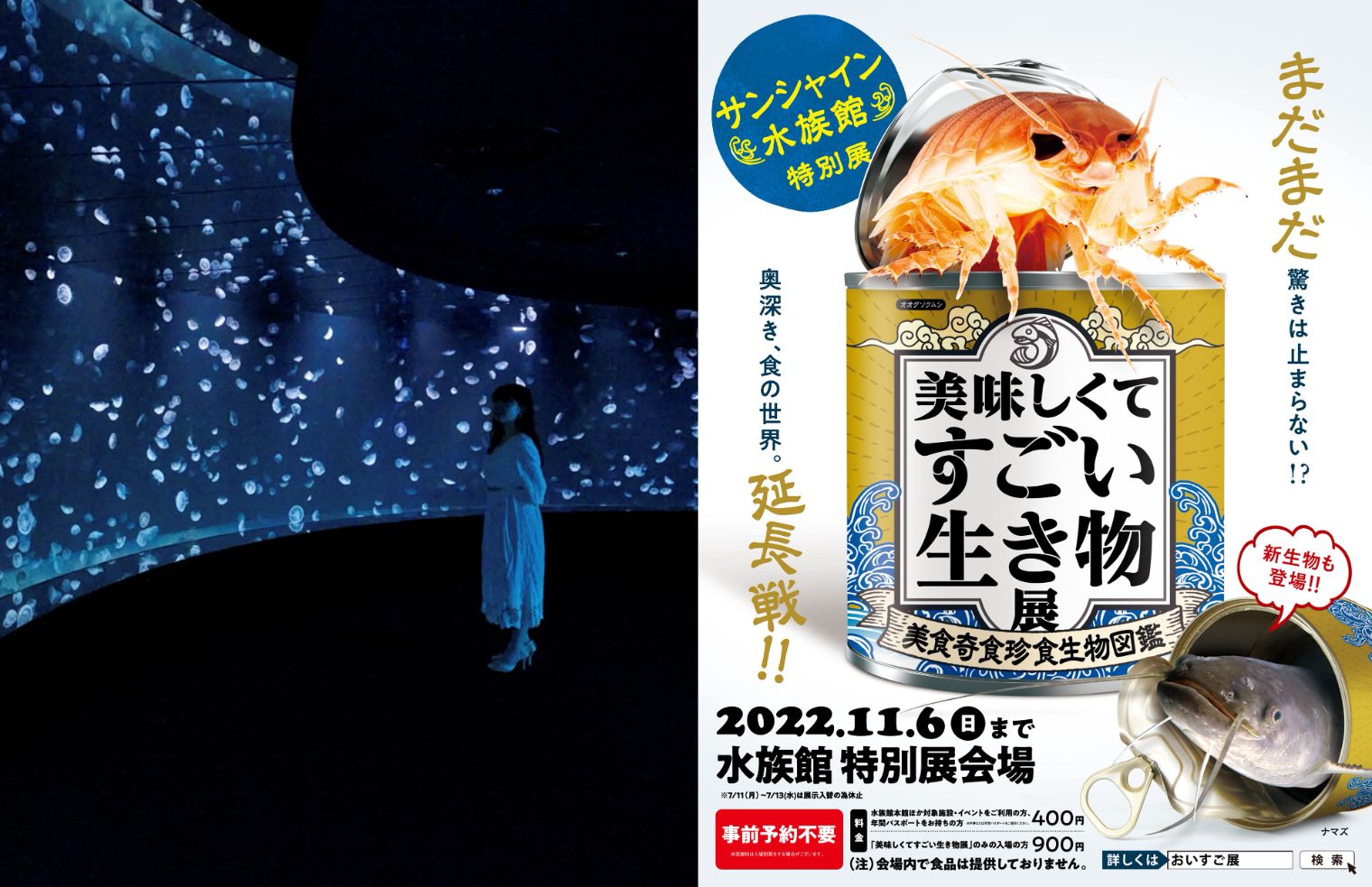 関東 水族館 ペンギン の遊び 体験 アソビュー