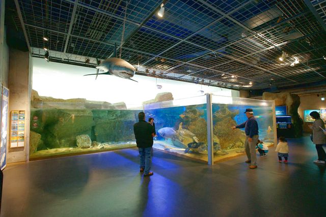 九十九島水族館海きらら 写真8