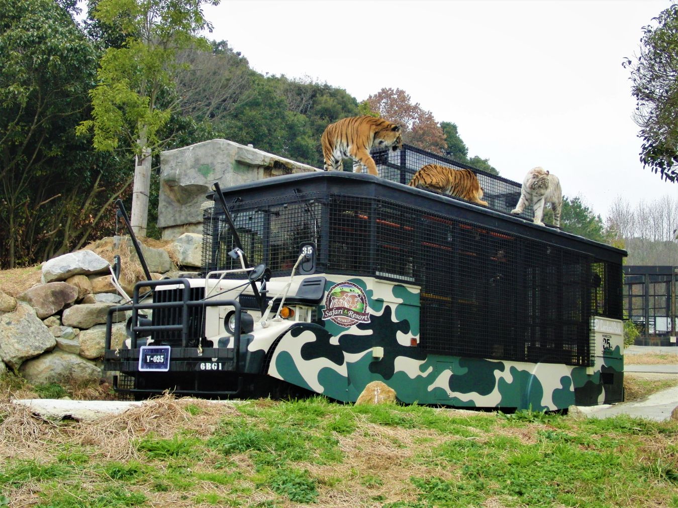 姫路セントラルパーク 1枚目