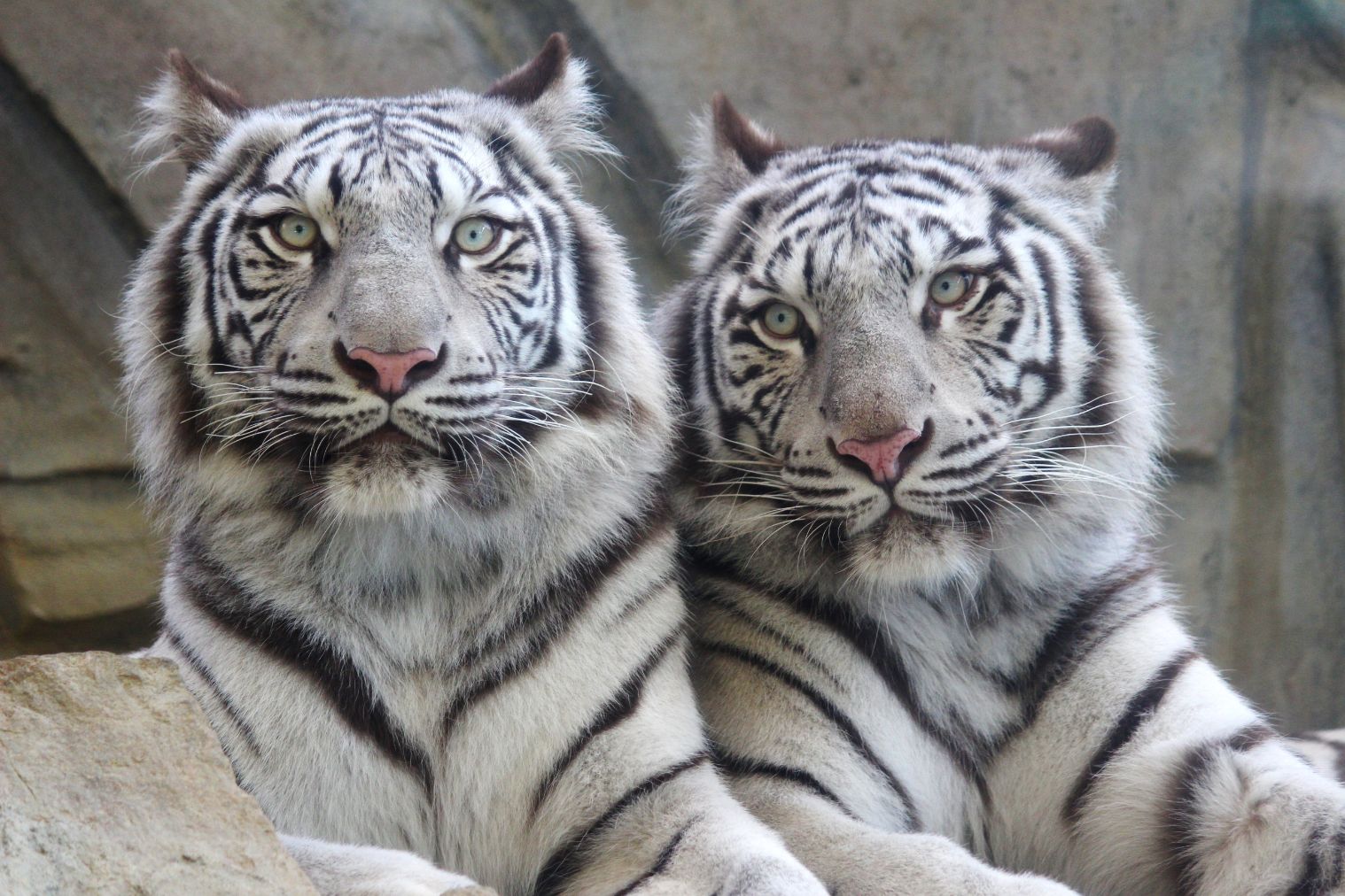 姫路セントラルパーク 2枚目