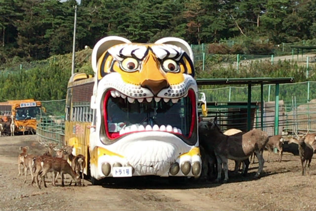 写真：【10%割引】岩手サファリパーク クーポン（入園料）