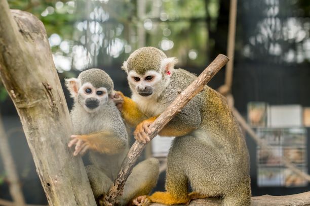東南植物楽園 写真4
