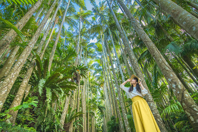 東南植物楽園 写真6