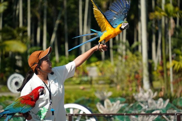 東南植物楽園 写真2