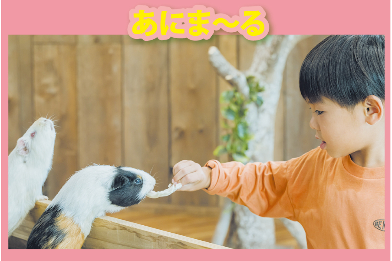 入園券+せかいの昆虫展+あにま~る入場券付きセットプラン 入園券+せかいの昆虫展+あにま~る入場券付きセットプラン