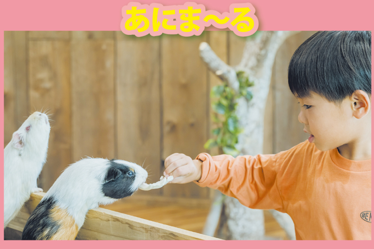 昼の部入園券(9:30-17:00)+あにま~る入場券付きセットプラン 昼の部入園券(9:30-17:00)+あにま~る入場券付きセットプラン
