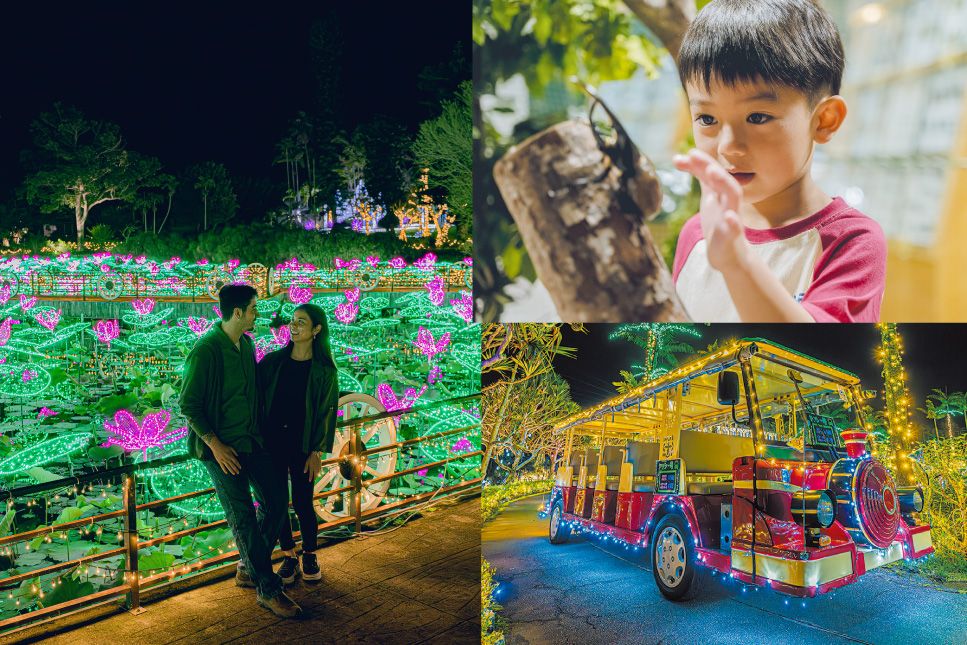 【ナイトお楽しみ2パス付】夜の部入園 【ナイトお楽しみ2パス付】夜の部入園