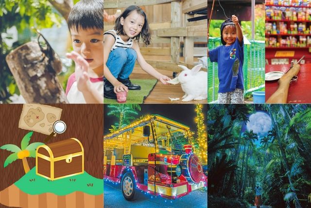 【ナイトお楽しみ2パス付】夜の部入園 【ナイトお楽しみ2パス付】夜の部入園