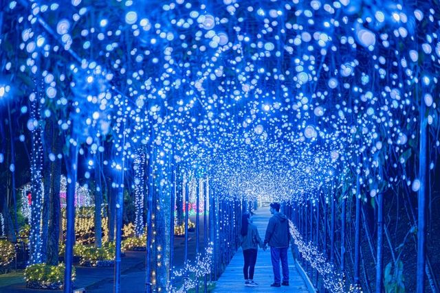 <ディナーハーフビュッフェ>☆夜の部 沖縄南国イルミネーション入園つき! <ディナーハーフビュッフェ>☆夜の部 沖縄南国イルミネーション入園つき!