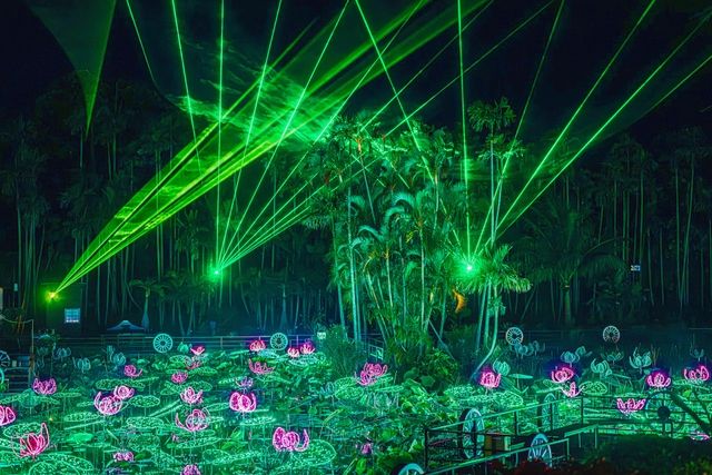 <ディナーハーフビュッフェ>☆夜の部 沖縄南国イルミネーション入園つき! <ディナーハーフビュッフェ>☆夜の部 沖縄南国イルミネーション入園つき!