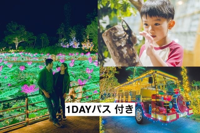 【ナイトお楽しみ2パス付】+1DAYパス 【ナイトお楽しみ2パス付】+1DAYパス