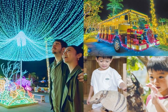 【ナイトプレミアム3パス付】+1DAYパス 【ナイトプレミアム3パス付】+1DAYパス