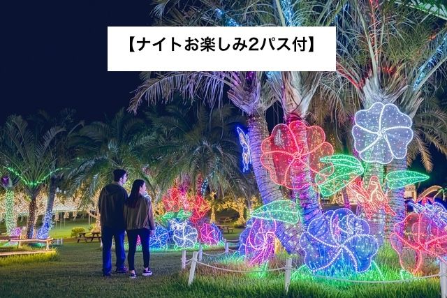【ナイトお楽しみ2パス付】+ クリスマス・年末年始/入場チケット 【ナイトお楽しみ2パス付】+ クリスマス・年末年始/入場チケット