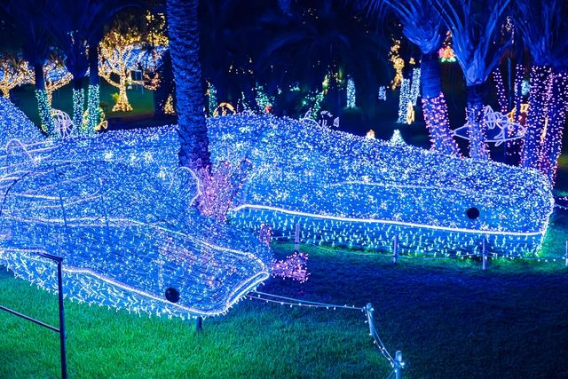 【ナイトお楽しみ2パス付】+ クリスマス・年末年始/入場チケット 【ナイトお楽しみ2パス付】+ クリスマス・年末年始/入場チケット