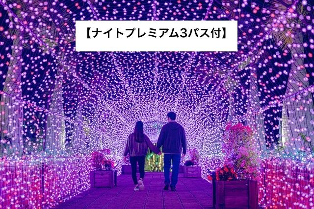 【ナイトプレミアム3パス付】+クリスマス・年末年始/入場チケット 【ナイトプレミアム3パス付】+クリスマス・年末年始/入場チケット