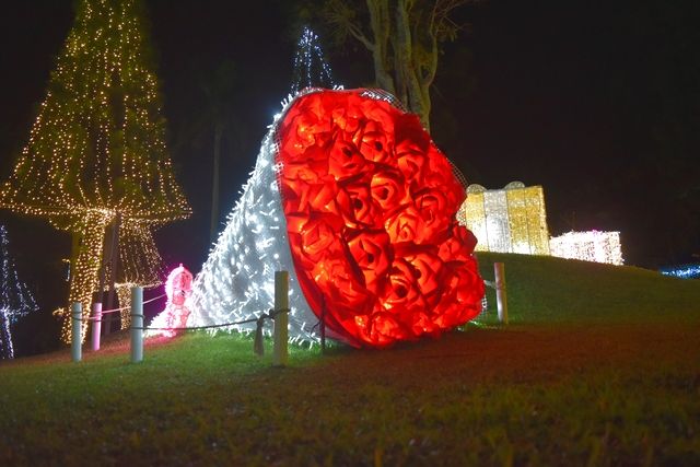 【ナイトプレミアム3パス付】+クリスマス・年末年始/入場チケット 【ナイトプレミアム3パス付】+クリスマス・年末年始/入場チケット