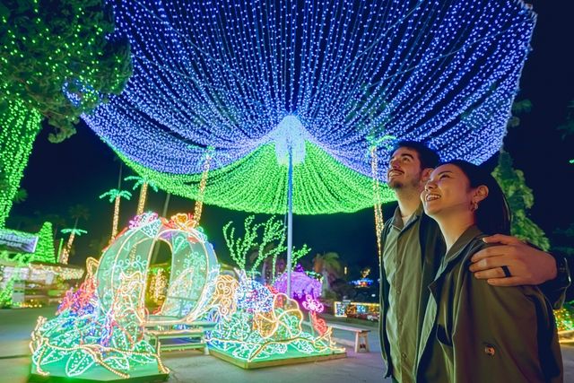 【ナイトプレミアム3パス付】+クリスマス・年末年始/入場チケット 【ナイトプレミアム3パス付】+クリスマス・年末年始/入場チケット