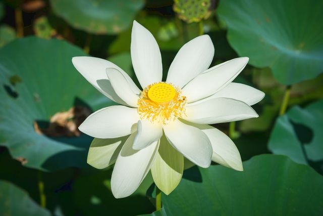 【土日祝限定】早朝入園割(9:30までに入園) 【土日祝限定】早朝入園割(9:30までに入園)