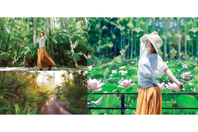 【土日祝限定】早朝入園割(9:30までに入園) 【土日祝限定】早朝入園割(9:30までに入園)