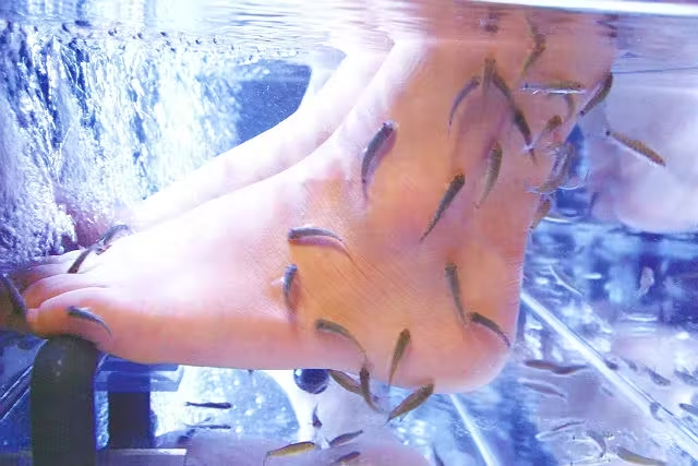 竹取の湯 3枚目