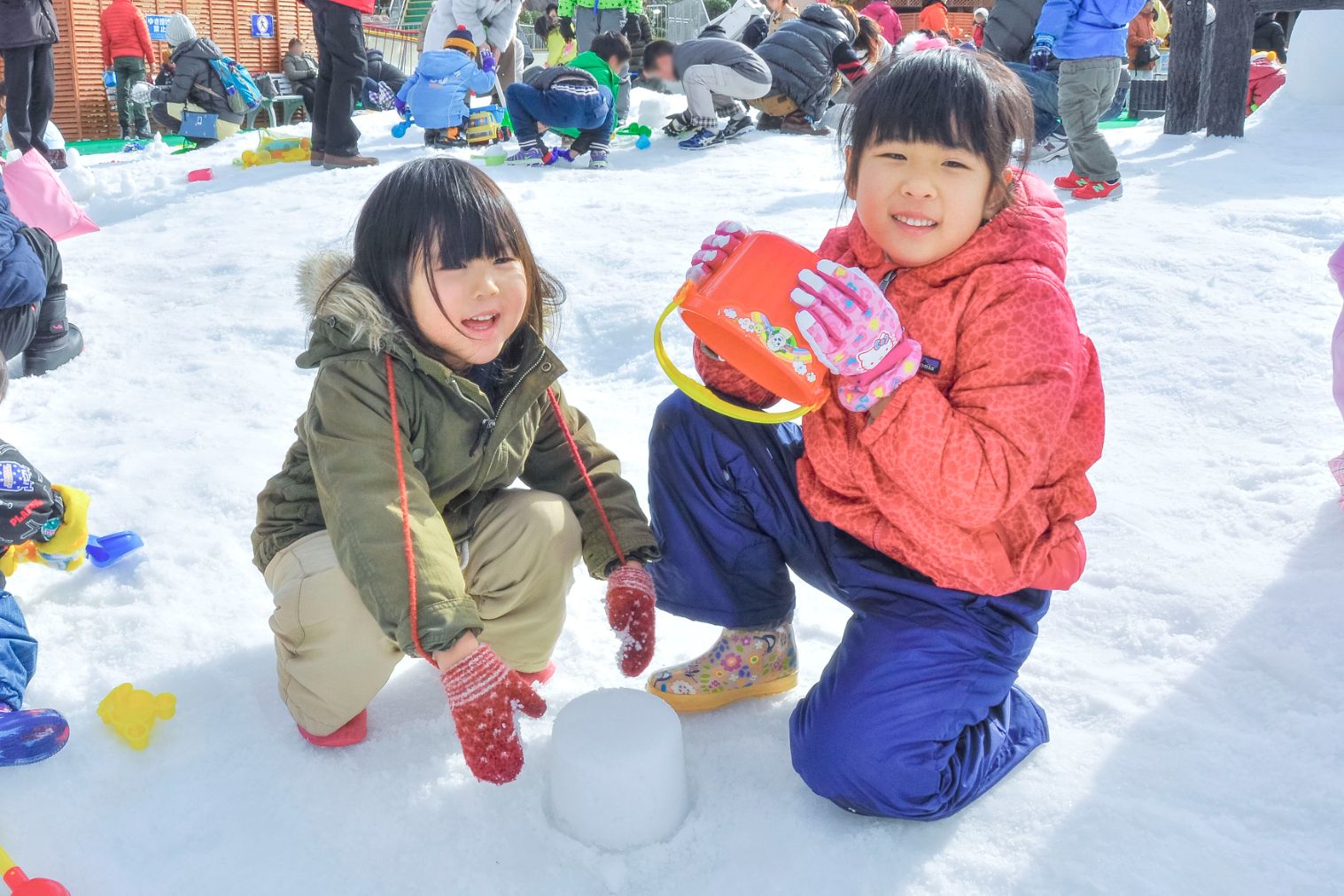 ひらかたパーク 入園券+ウインターカーニバル入場券 ひらかたパーク 入園券+ウインターカーニバル入場券