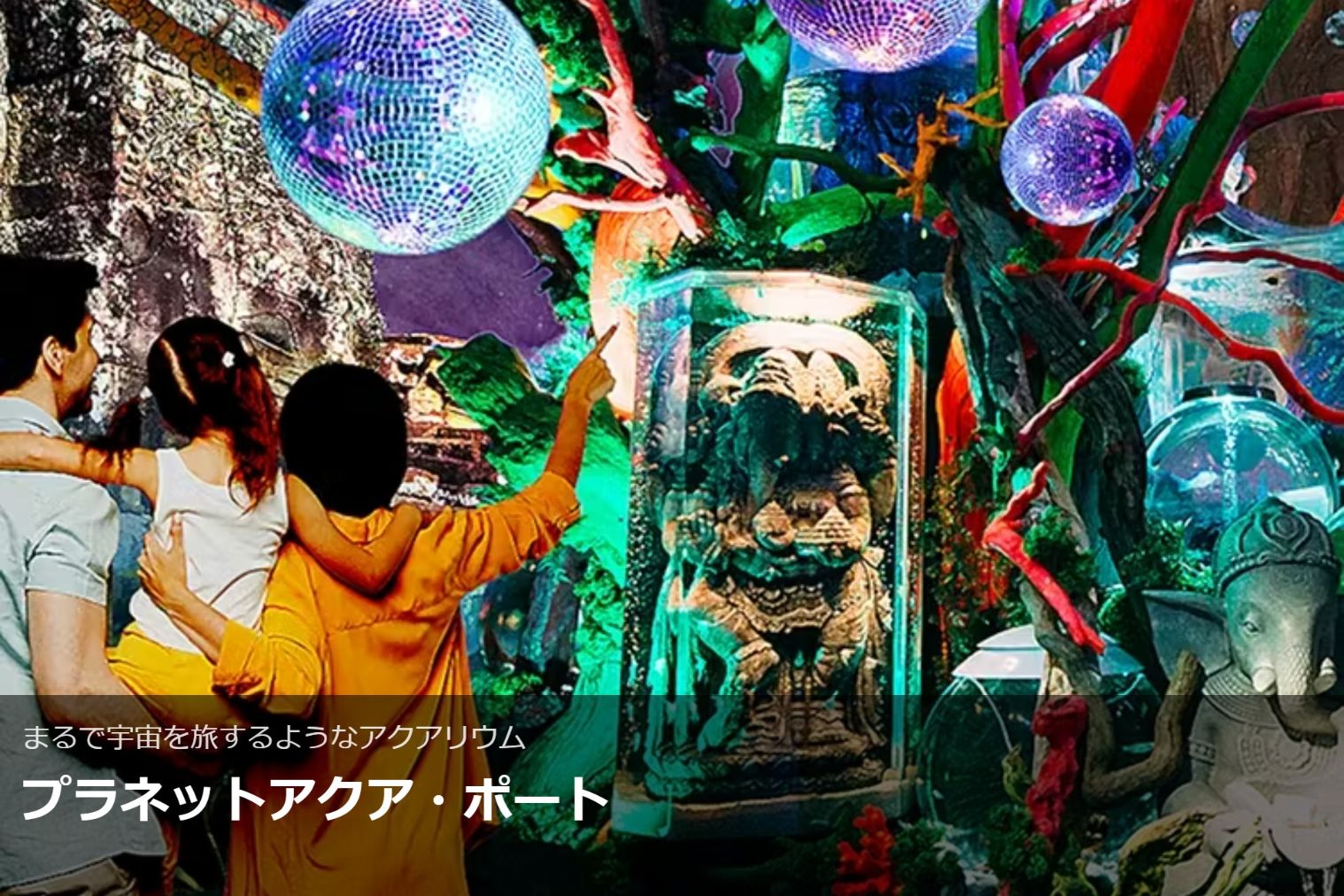 遊園地【1日券】入園券 遊園地【1日券】入園券