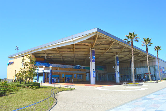 新江ノ島水族館 割引きチケット情報