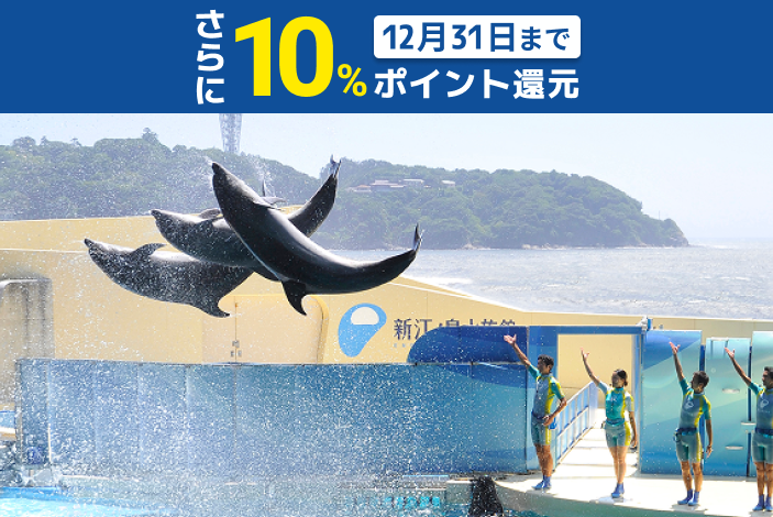 超特割!【さらに10%ポイント還元】新江ノ島水族館 前売り入場チケット 超特割!【さらに10%ポイント還元】新江ノ島水族館 前売り入場チケット