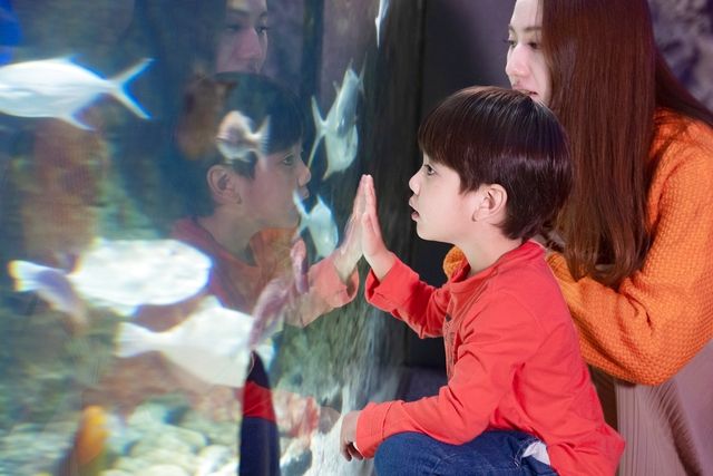 超特割!【さらに10%ポイント還元】新江ノ島水族館 前売り親子ペア(大人+小中学生)入場チケット 超特割!【さらに10%ポイント還元】新江ノ島水族館 前売り親子ペア(大人+小中学生)入場チケット