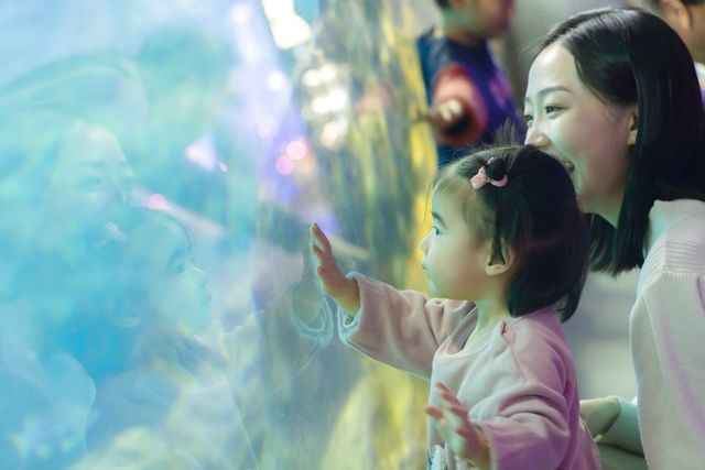 超特割!【さらに10%ポイント還元】新江ノ島水族館 前売り親子ペア(大人+幼児)入場チケット 超特割!【さらに10%ポイント還元】新江ノ島水族館 前売り親子ペア(大人+幼児)入場チケット