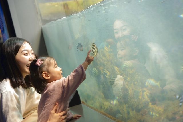 超特割!【さらに10%ポイント還元】新江ノ島水族館 前売り親子ペア(大人+幼児)入場チケット 超特割!【さらに10%ポイント還元】新江ノ島水族館 前売り親子ペア(大人+幼児)入場チケット