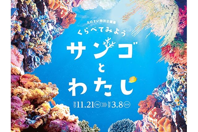 【先着特典付き】えのすい特別企画展 くらべてみよう サンゴとわたし 限定WEBチケット 【先着特典付き】えのすい特別企画展 くらべてみよう サンゴとわたし 限定WEBチケット