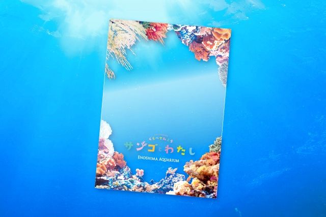 【先着特典付き】えのすい特別企画展 くらべてみよう サンゴとわたし 限定WEBチケット 【先着特典付き】えのすい特別企画展 くらべてみよう サンゴとわたし 限定WEBチケット
