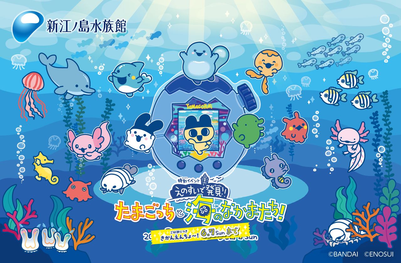 超特割!【クーポン利用で5%OFF】特別イベント『えのすいで発見!!たまごっちと海のなかまたち!』特典付き入場券 超特割!【クーポン利用で5%OFF】特別イベント『えのすいで発見!!たまごっちと海のなかまたち!』特典付き入場券