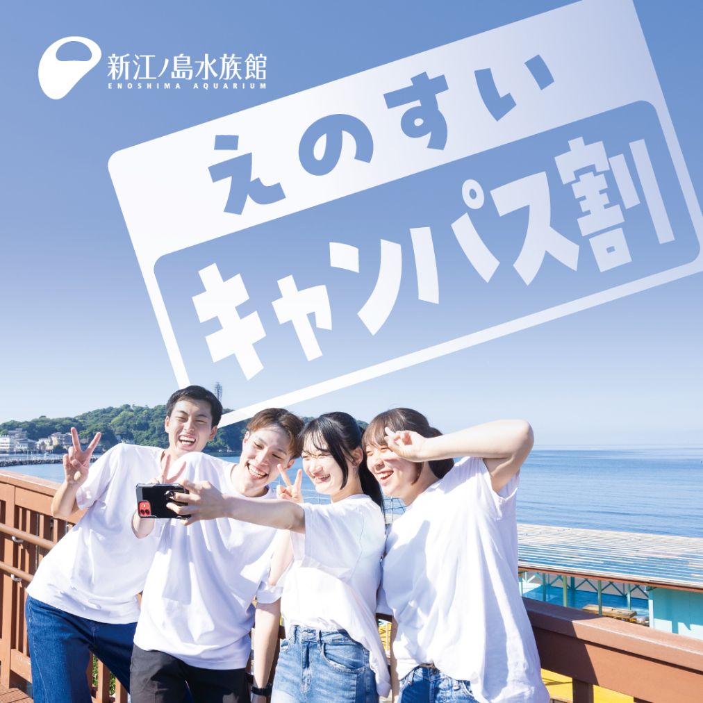 9/30まで!クーポン利用でさらに5%割引【キャンパス割】新江ノ島水族館 前売り入場チケット 9/30まで!クーポン利用でさらに5%割引【キャンパス割】新江ノ島水族館 前売り入場チケット