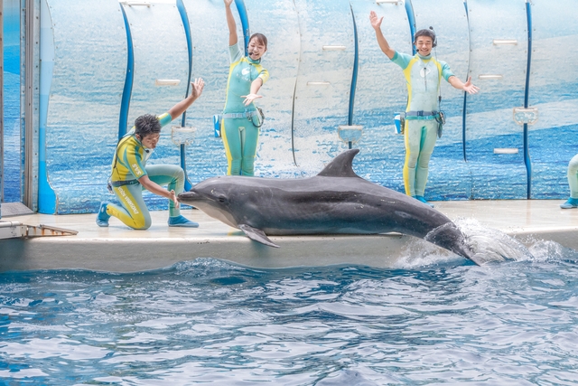 9/30まで!クーポン利用でさらに5%割引【キャンパス割】新江ノ島水族館 前売り入場チケット 9/30まで!クーポン利用でさらに5%割引【キャンパス割】新江ノ島水族館 前売り入場チケット