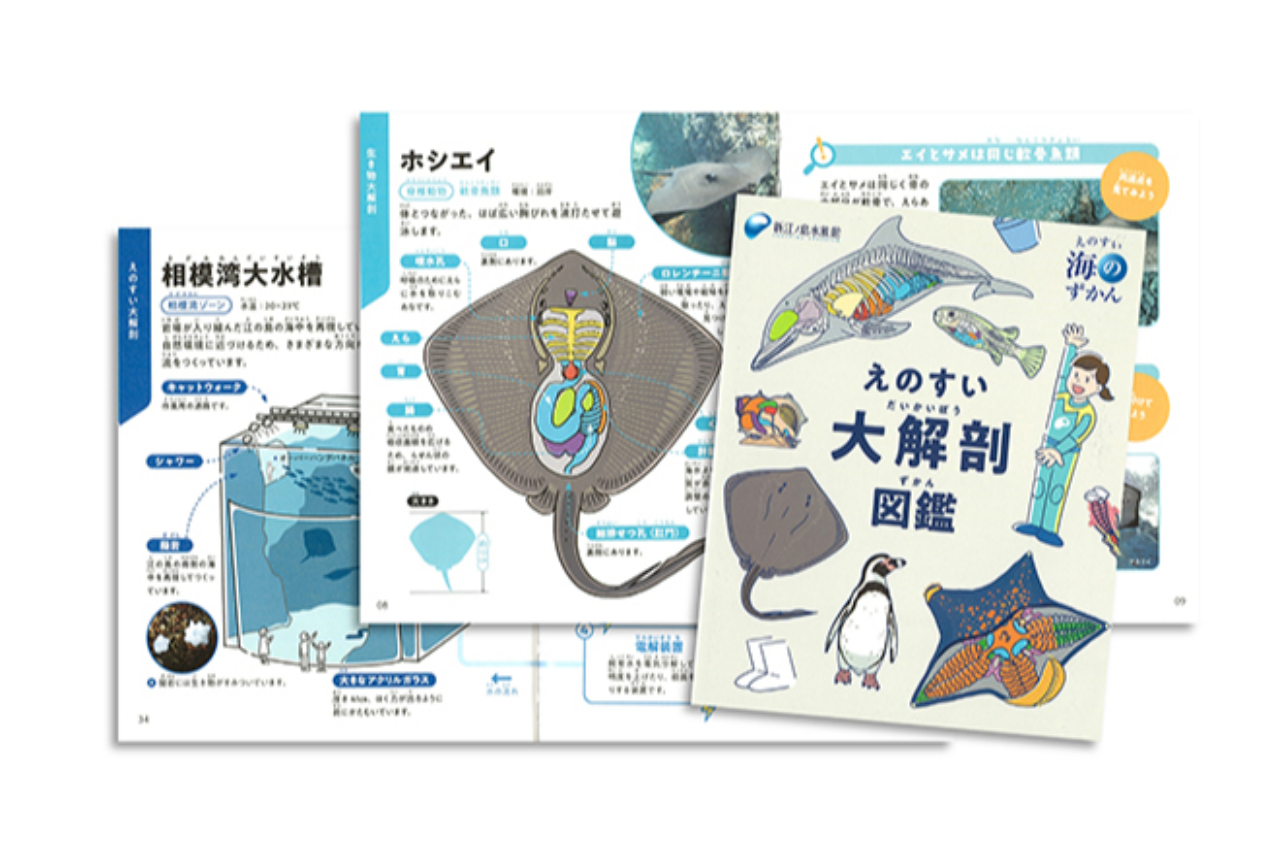 【自由研究にもおすすめ!】えのすい大解剖図鑑+限定キラキラステッカー付き入場券 【自由研究にもおすすめ!】えのすい大解剖図鑑+限定キラキラステッカー付き入場券