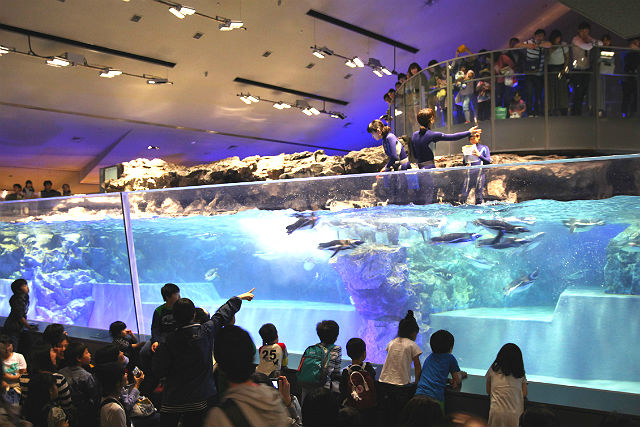 すみだ水族館 写真3