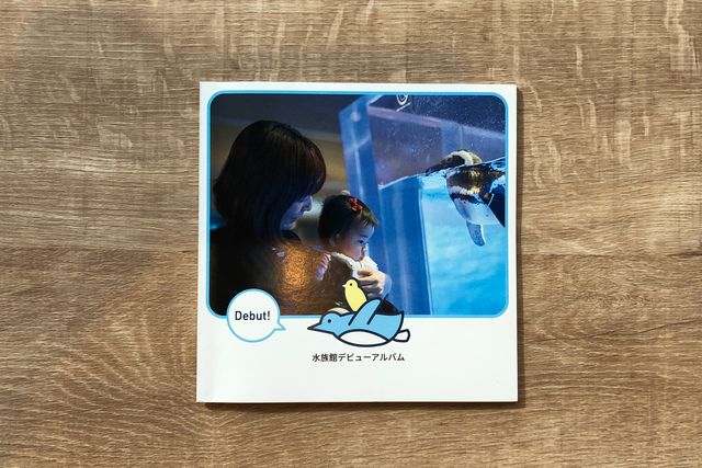 関東 水族館 ペンギン の遊び 体験 アソビュー