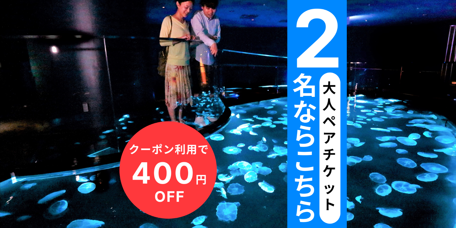 【クーポン適用で400円引き!】アソビュー限定!すみだ水族館 大人ペアチケット 【クーポン適用で400円引き!】アソビュー限定!すみだ水族館 大人ペアチケット