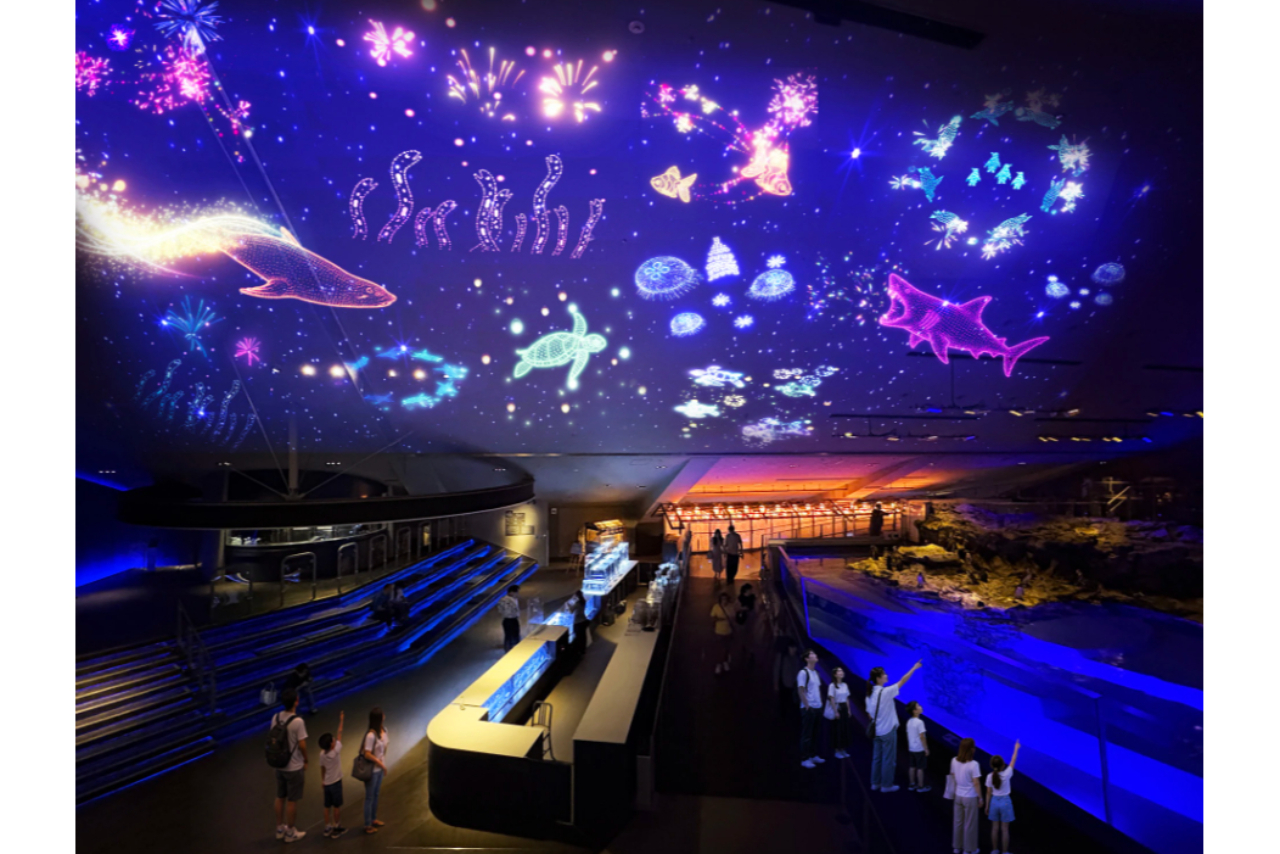 すみだ水族館 中学生以下半額 すみだ水族館 中学生以下半額
