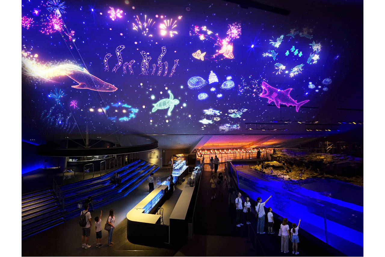 すみだ水族館 高校生グループ割引 すみだ水族館 高校生グループ割引