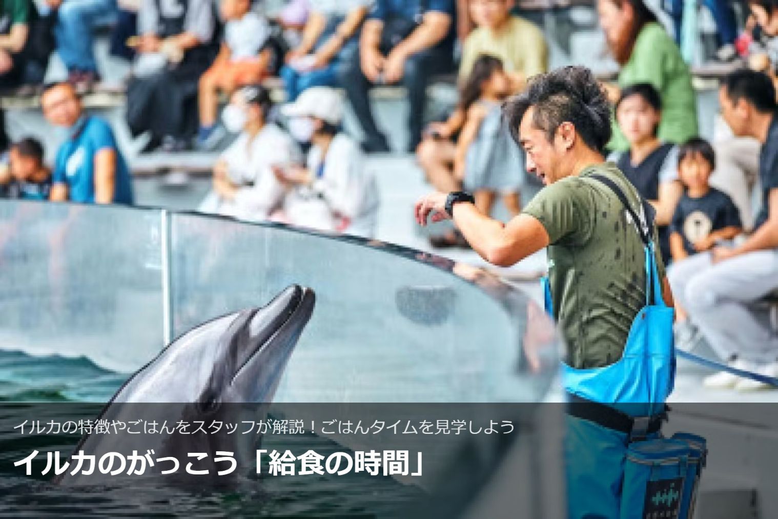 京都水族館 日時指定チケット ※各回の入場開始時間は混雑が予想されます 京都水族館 日時指定チケット ※各回の入場開始時間は混雑が予想されます