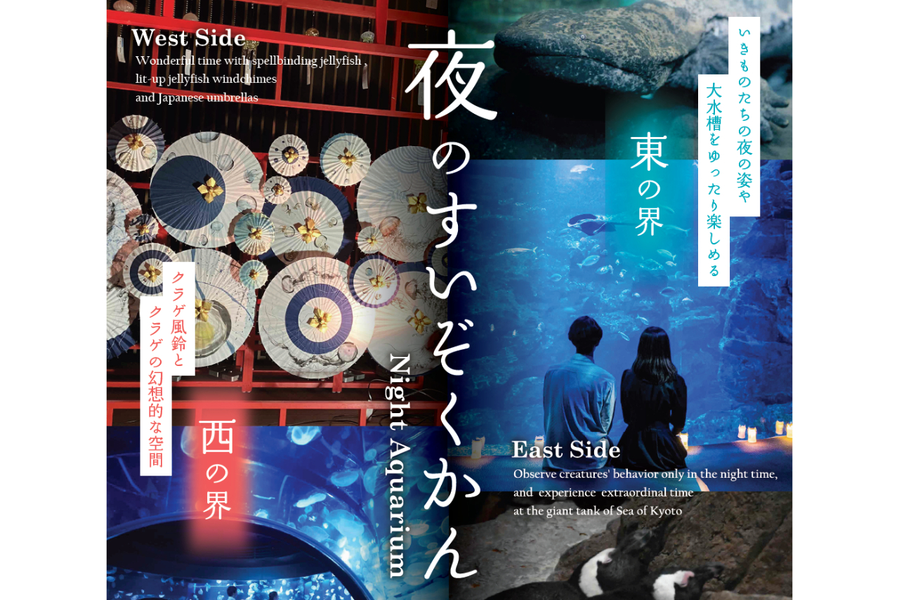 京都水族館 夏の「全館(東の界・西の界)」入場券 京都水族館 夏の「全館(東の界・西の界)」入場券