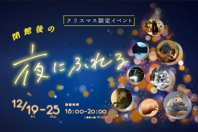 閉館後の夜にふれる 入館券 閉館後の夜にふれる 入館券
